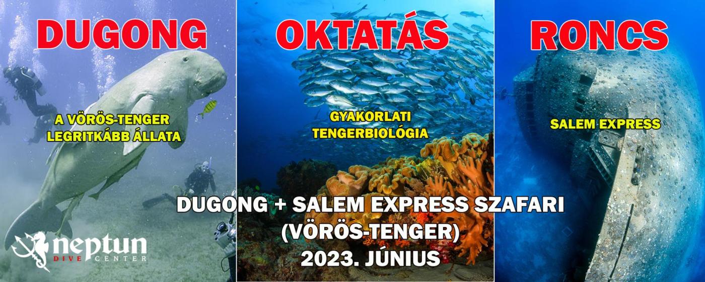 Vörös-tenger Dugong + Salem Express-szafari | Neptun Dive Center
