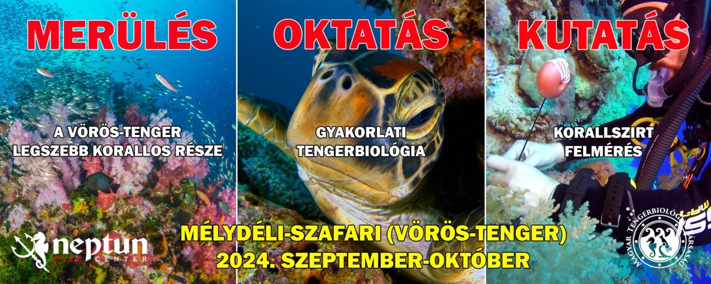 Vörös-tenger: Mélydéli-szafari | Neptun Dive Center