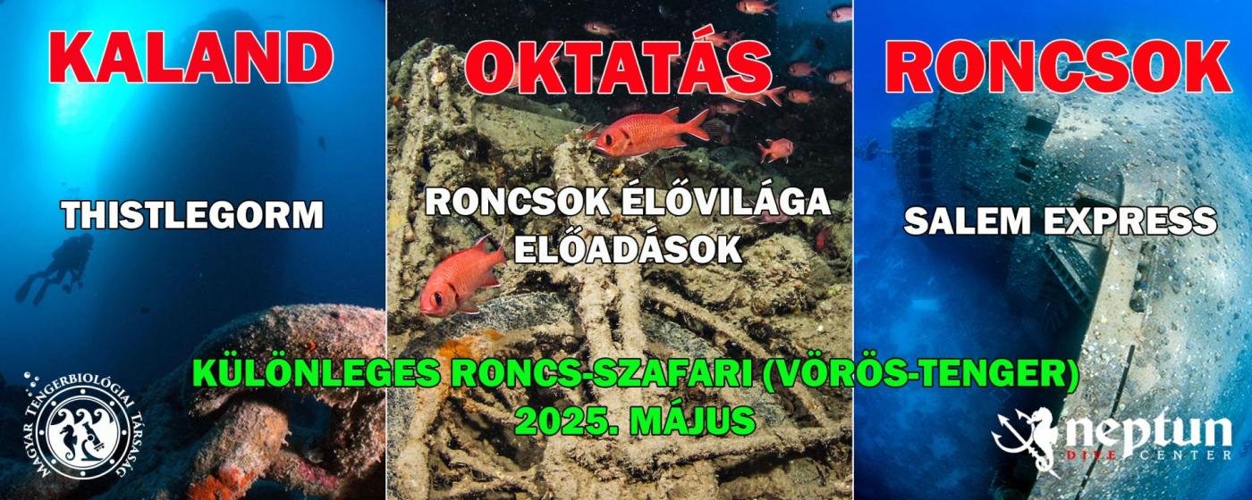 Vörös-tenger: Roncs-szafari | Neptun Dive Center