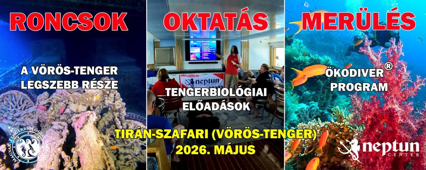 Vörös-tenger: Tirán-szafari | Neptun Dive Center