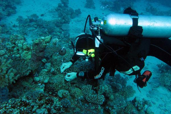 Neptun Scientific Dive® Program | Neptun Dive Center