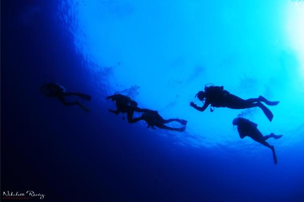 Open Water Scuba Diver | Neptun Dive Center