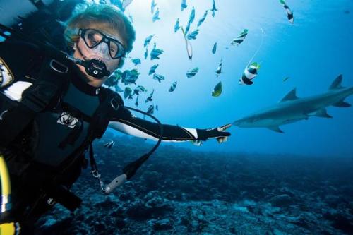 Advanced Scuba Diver – Haladó Búvár tanfolyam | Neptun Dive Center