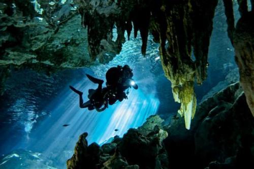 Cenote | Neptun Dive Center