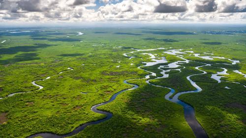 Everglades mocsárvidék | Neptun Dive Center