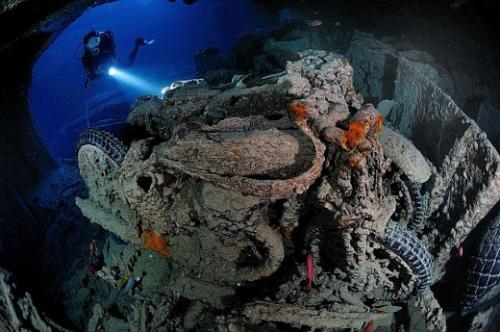 Thistlegorm | Neptun Dive Center 
