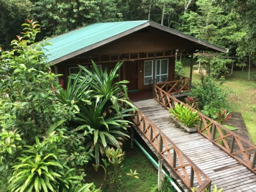 Borneo Nature Lodge | Neptun Dive Center 