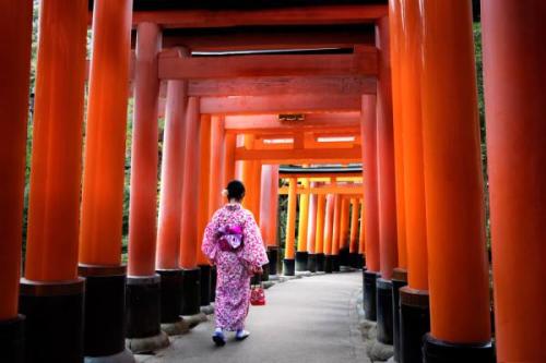 Kioto, Fushimi Inari | Neptun Dive Center