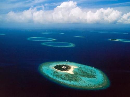 Maldív korall atoll | Neptun Dive Center 