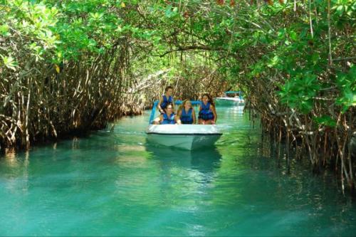 Mangrove csónakázás, Mexikó | Neptun Dive Center