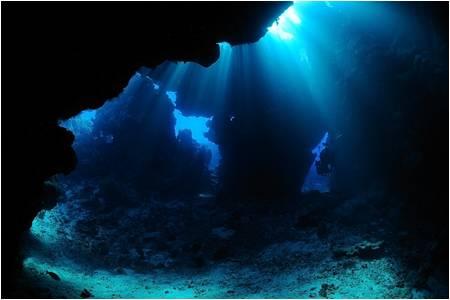Korallbarlang  | Neptun Dive Center