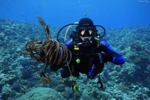 ÖkoDive® merülés  | Neptun Dive Center