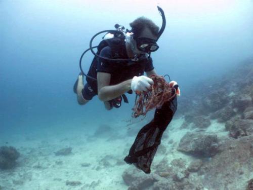 ÖkoDive® merülések | Neptun Dive Center