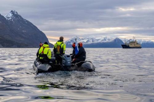 Orkalesen Norvégiában  | Neptun Dive Center 
