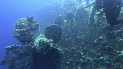 Salem Express hajóroncs | Neptun Dive Center