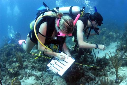 Scientific Diver | Neptun Dive Center 