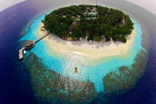 Atoll maldív | Neptun Dive Center