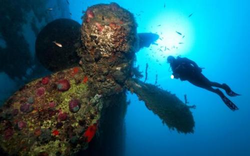 Zenobia hajócsavar Ciprus | Neptun Dive Center 