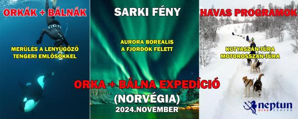 Orka + Bálna expedíció – Norvégia | Neptun Dive Center