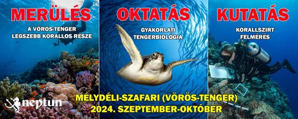 Vörös-tenger: Mélydéli-szafari | Neptun Dive Center