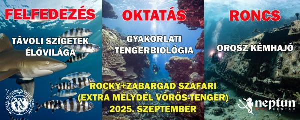 Vörös-tenger: Rocky+Zabargad-szafari | Neptun Dive Center